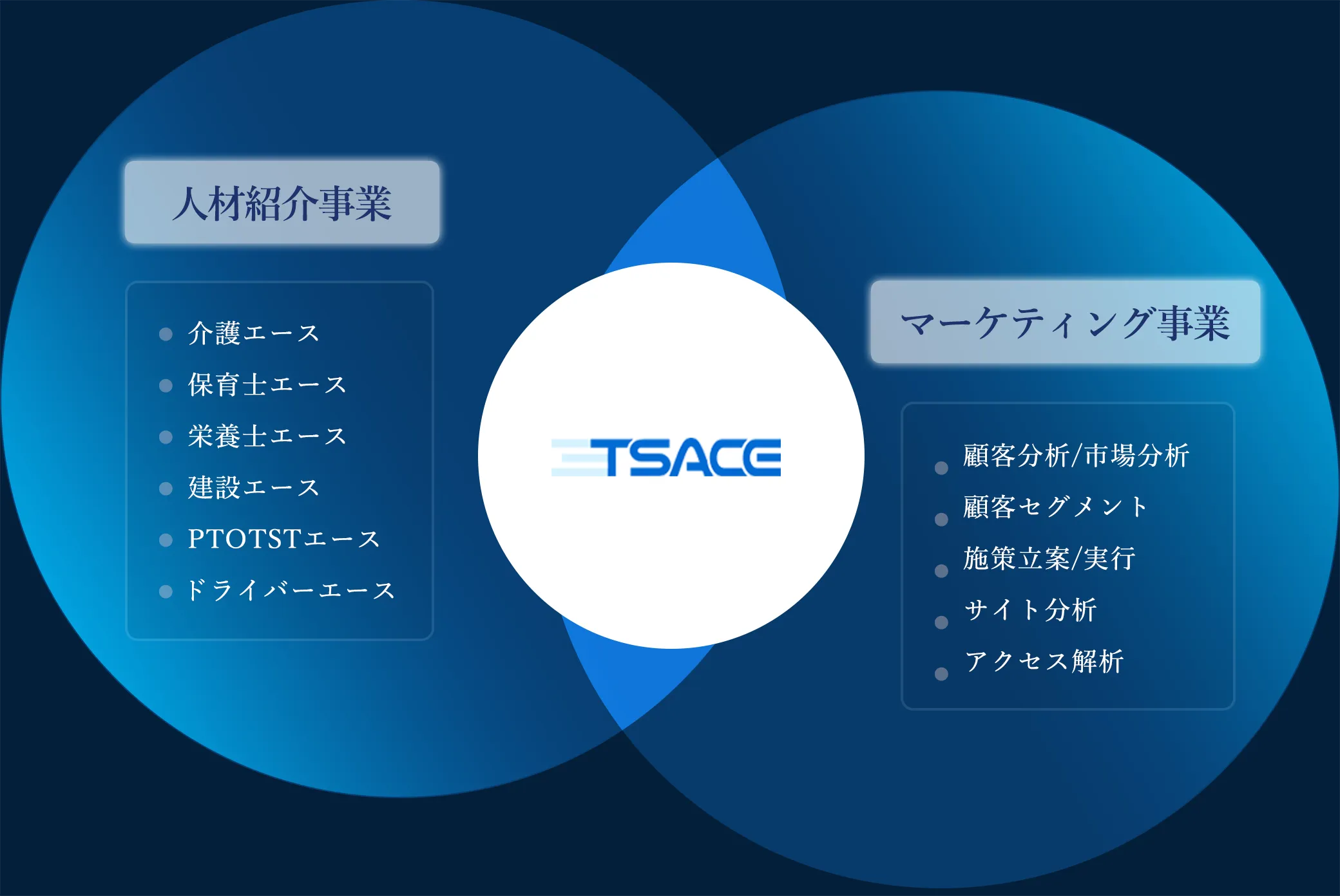 TSACEの事業領域